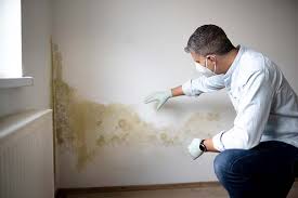 Trusted Lake San Marcos, CA Mold Remediation Experts